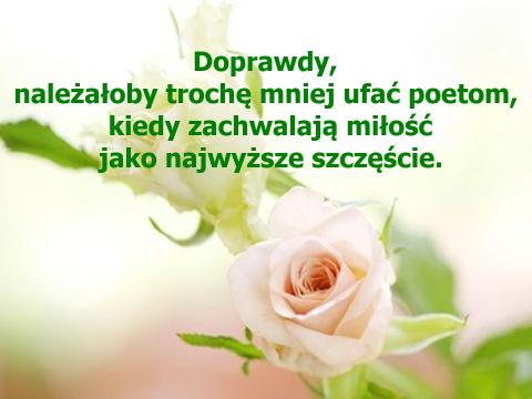 Cytat z powieści „Lalka” Bolesława Prusa Doprawdy, należałoby trochę mniej ufać poetom, kiedy zachwalają miłość jako najwyższe szczęście.