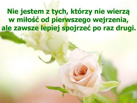 Wolter... miłość od pierwszego wejrzenia Nie jestem z tych, którzy nie wierzą w miłość od pierwszego wejrzenia, ale zawsze lepiej spojrzeć po raz drugi.