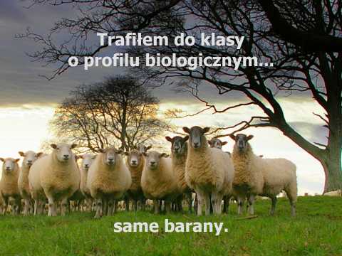 Klasa o profilu biologicznym Trafiłem do klasy o profilu biologicznym... same barany, hieny, małpy, osły i świnie.