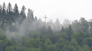 Dzwonkówka