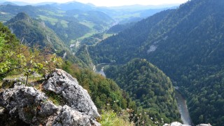 Sokolica